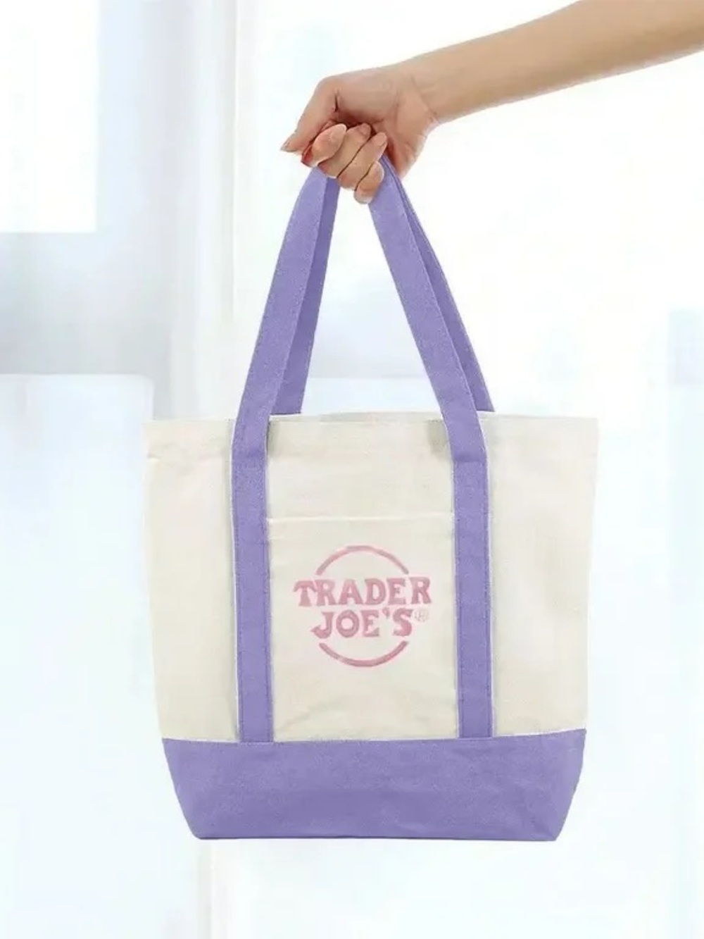 Trader Joe's Mini Tote Bag